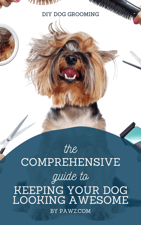 FREE DIY Dog Grooming eBook - Pawz