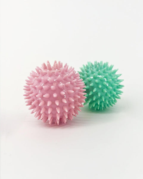 Spikey Ball Dog Toy - Pawz