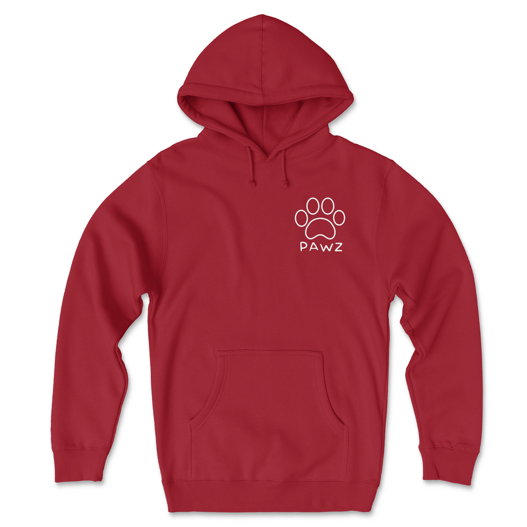 Bernese Christmas (Adult Hoodie)