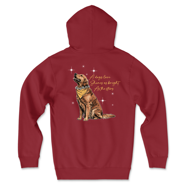 Shine Bright (Adult Hoodie)