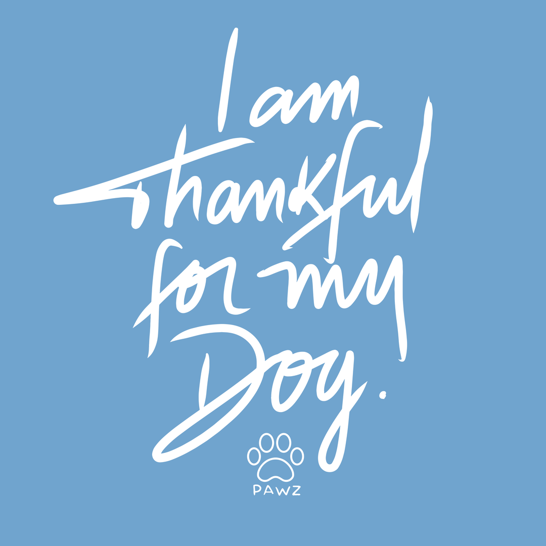 I'm Thankful - Carolina Blue (Adult Short Sleeve T-Shirt)