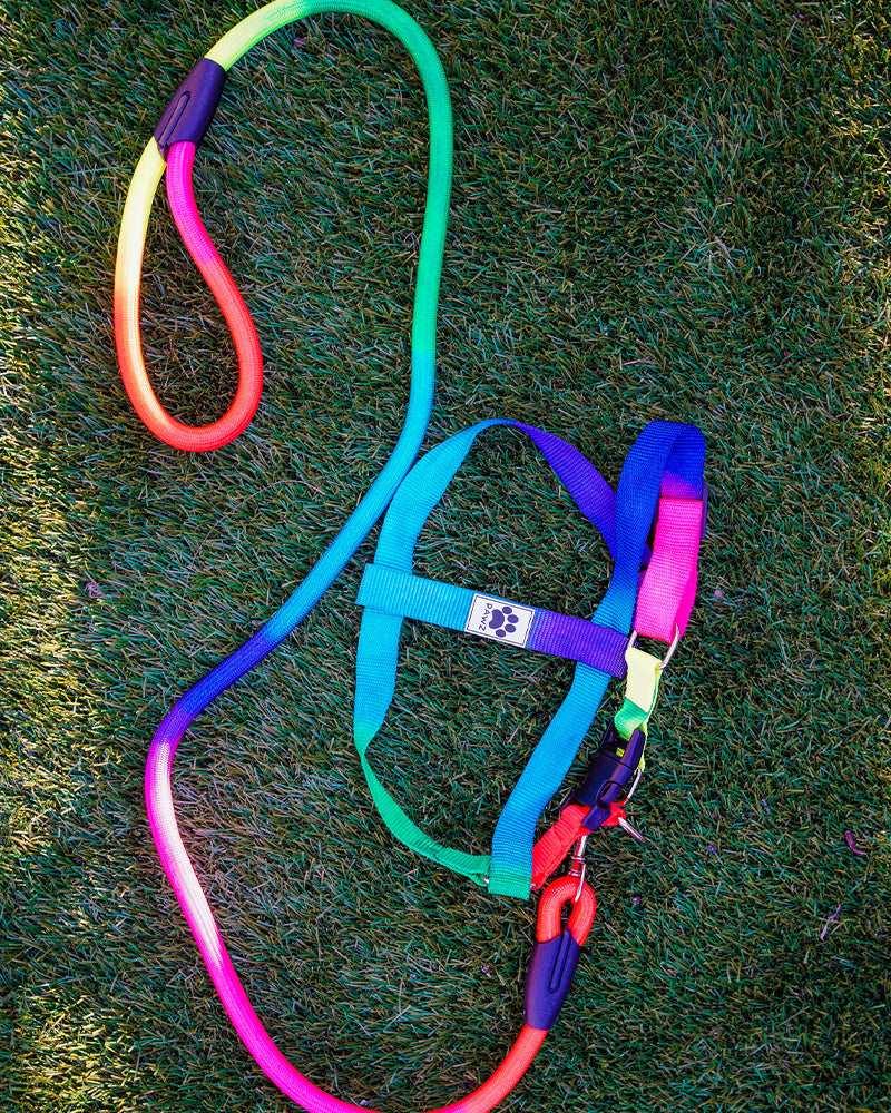 Pawz Rainbow Dog Harness & Matching Rope Leash - Pawz