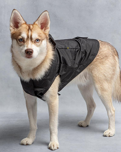 U.S. ARMY PACKABLE DOG RAINCOAT - Pawz
