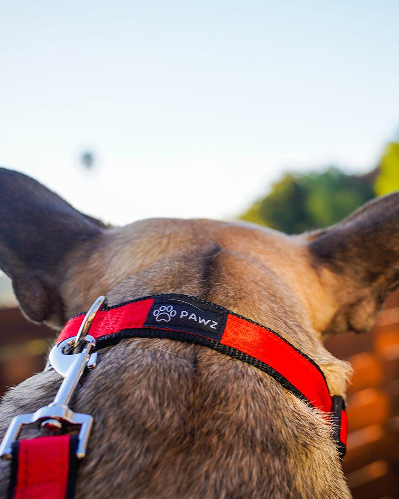 Pawz Red & Black Dog Collar & Leash Set - Pawz